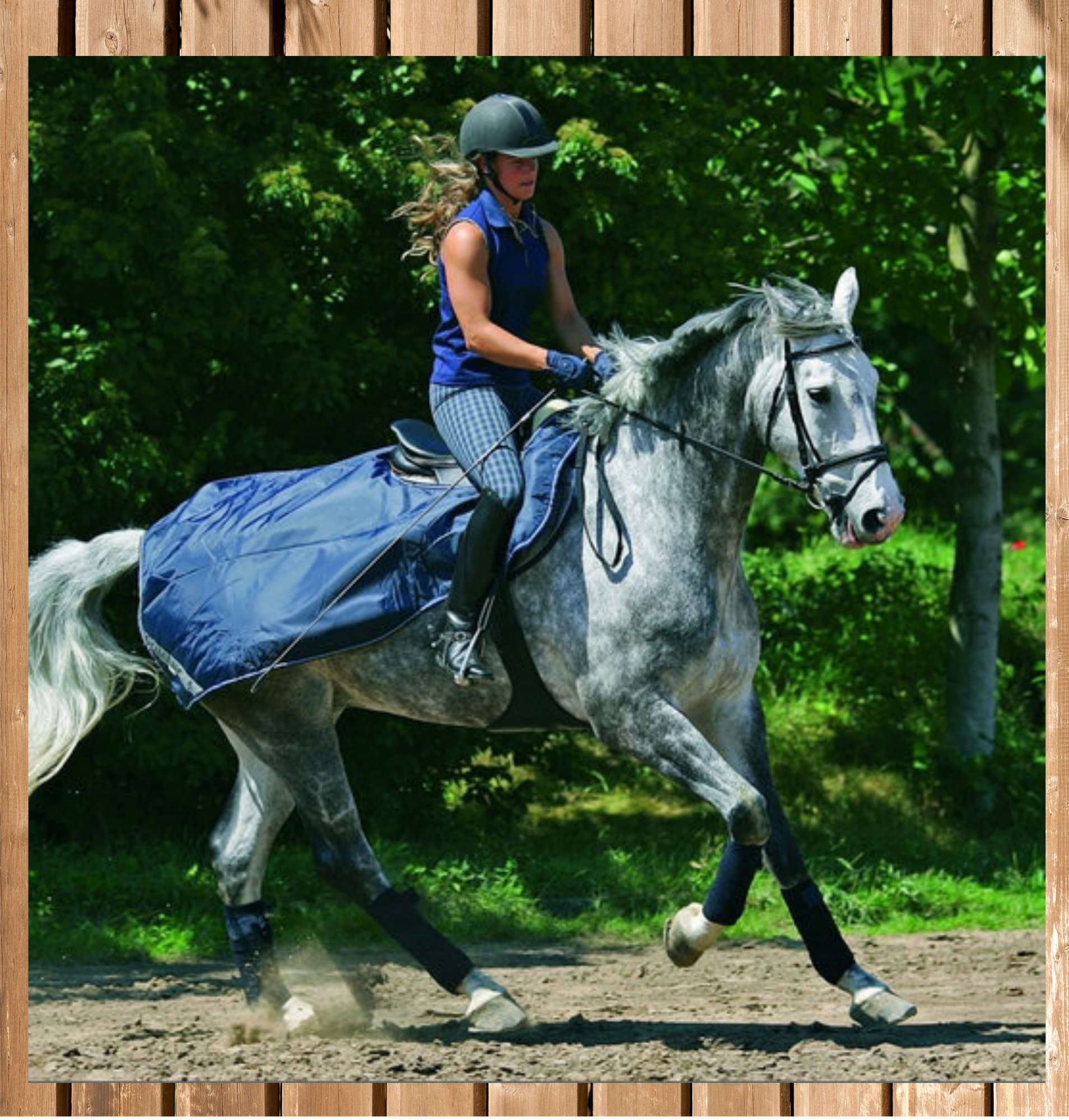 Horseware Rhino Competition Sheet, navy